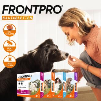 Frontpro POS Aktion 2024